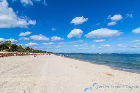 Beach nearby, sun loungers