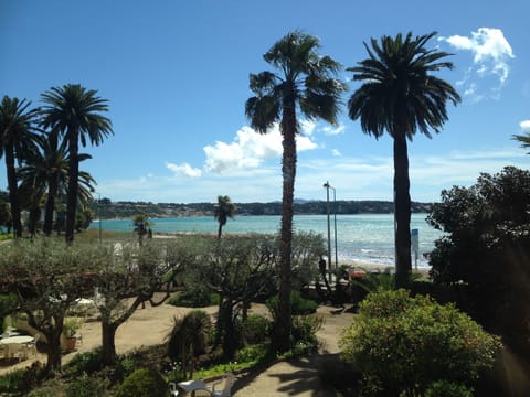 Beach nearby, sun loungers