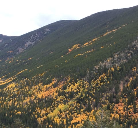 Guannella Pass in the fall