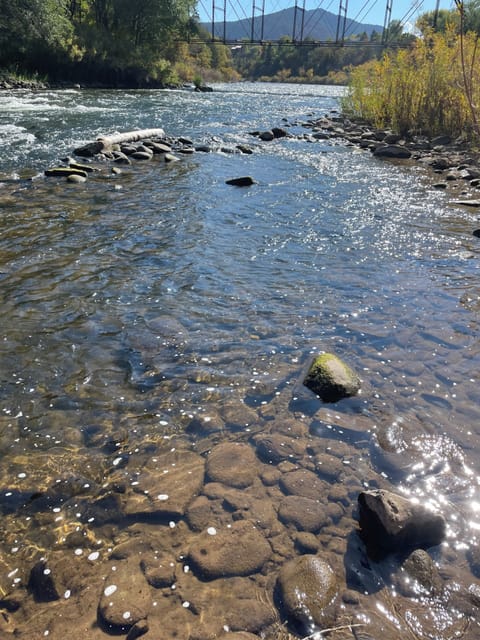 View downstream from the house, looking south towards Old Cardiff Bridge