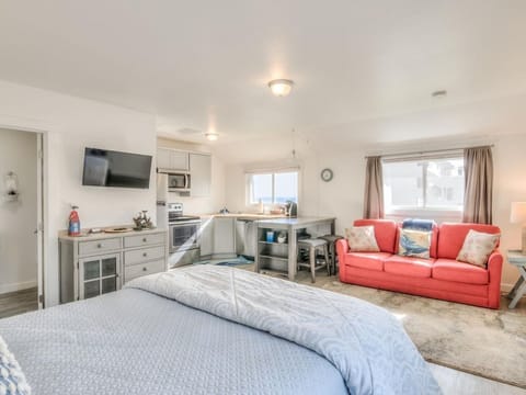 Sleeper Sofa if Needed