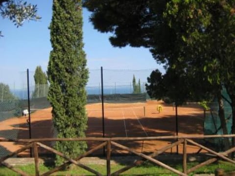 Sport court