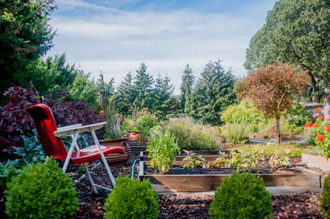 Taking Respite in Vegetable Garden