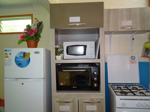 Fridge, microwave, oven, coffee/tea maker