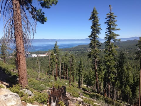 View of lake during summer from the Bi-State Park which is walking distance away