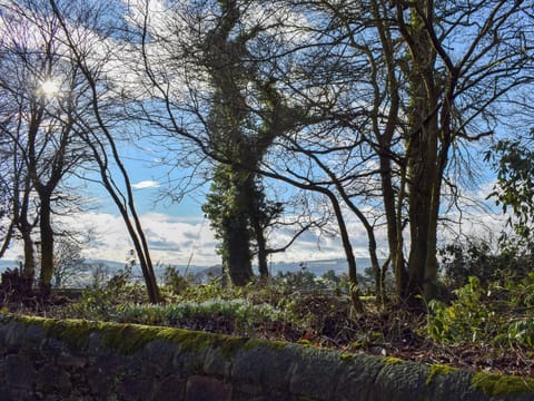 Garden and grounds | The Horsemill, Kelty, near Dunfermline