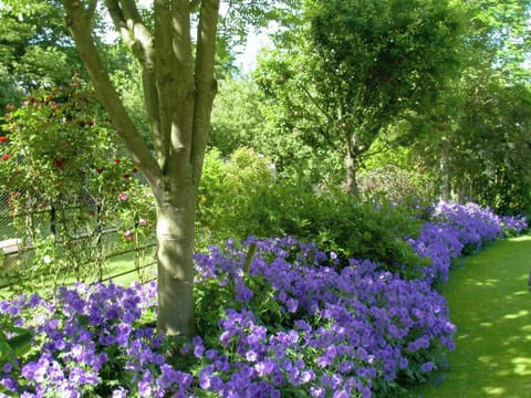 1½ acres of walled gardens | The Mews, Near Masham