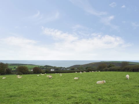Outstanding views out to sea | Arforwest, Near Llangrannog