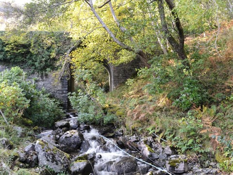 Surrounding area | Rowan House, Camus Inas, Salen, near Acharacle