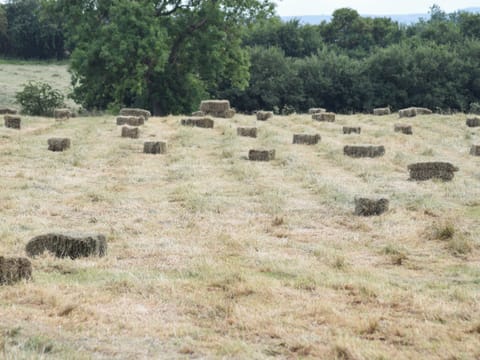 View | Grange Cottage, Ovington, near Richmond