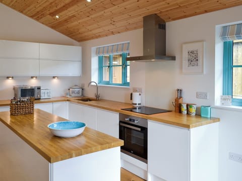 Kitchen area | Eagle Owl Lodge, St Columb Major, near Padstow