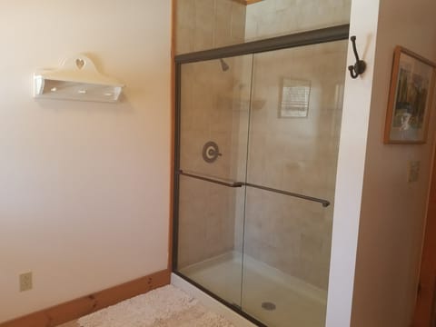 Combined shower/tub, hair dryer, towels, toilet paper