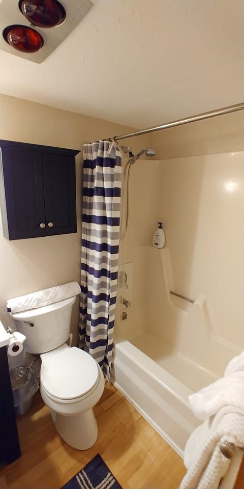 Combined shower/tub, hair dryer, towels, soap