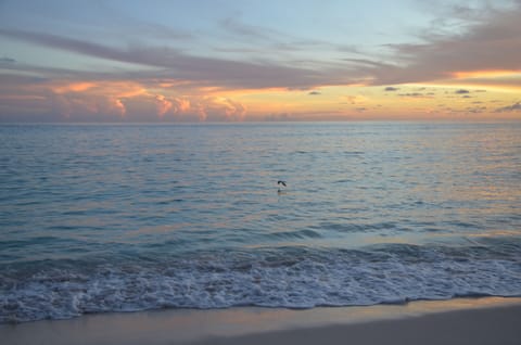 On the beach