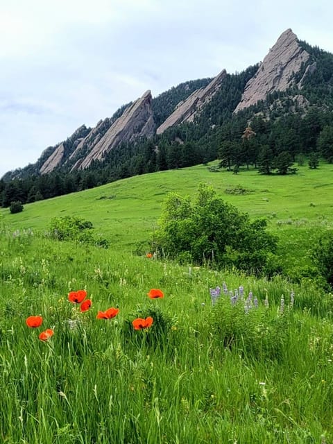 Flatirons at Chautauqua in early June