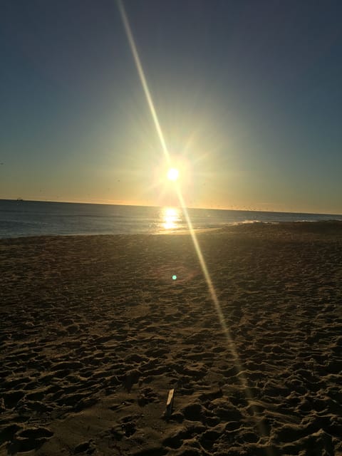 On the beach, sun loungers, beach towels