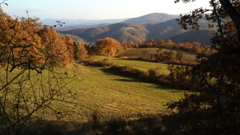 Anghiari's countryside