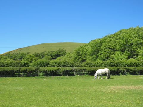 Surrounding area | Blueacres, Kilbucho, near Biggar