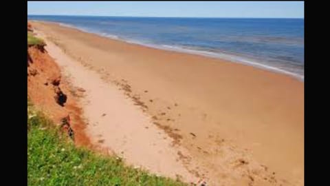 Beach nearby, sun loungers, beach towels