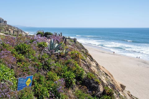 Beach nearby, sun loungers, beach towels