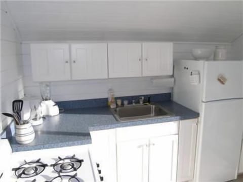 Full-size fridge, microwave, oven, stovetop