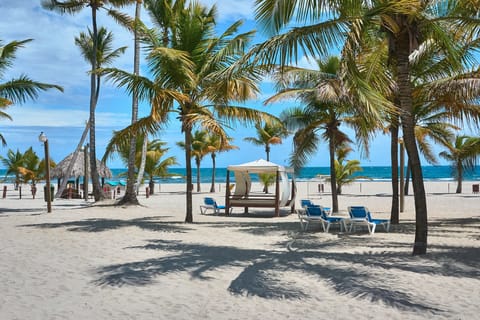 Sun loungers, beach towels