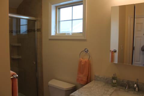 Combined shower/tub, hair dryer, towels