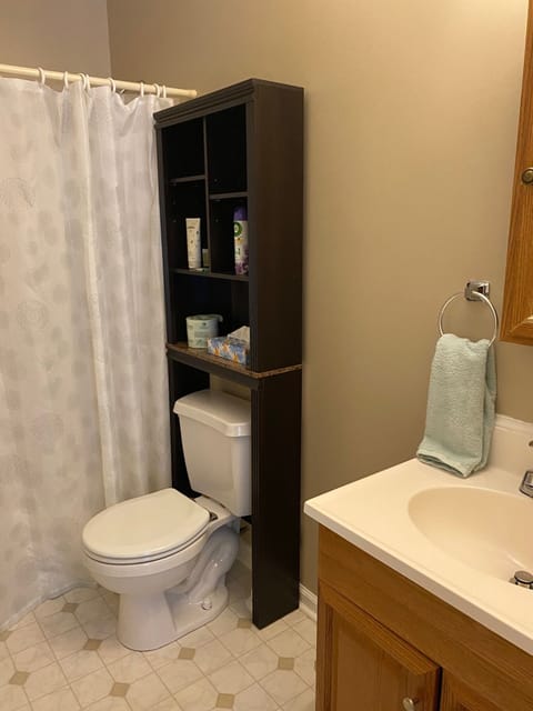 Combined shower/tub, hair dryer, towels, shampoo