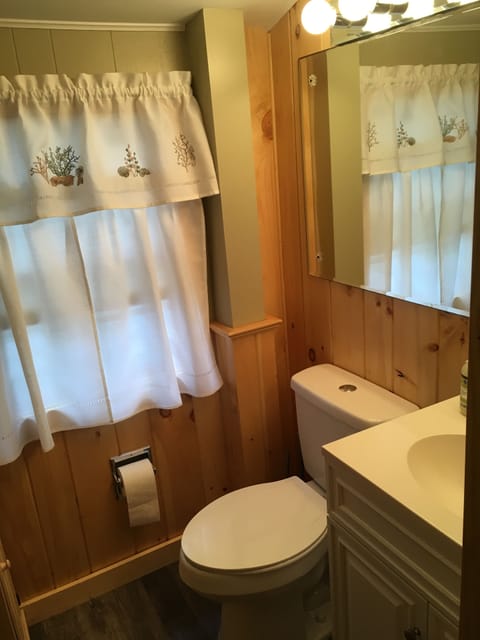 Combined shower/tub, hair dryer, towels, soap