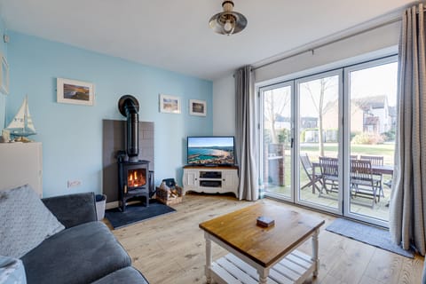 Living area | TV, fireplace, DVD player, books