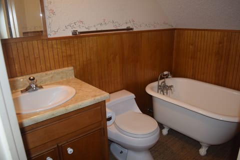 Combined shower/tub, hair dryer, bidet, towels