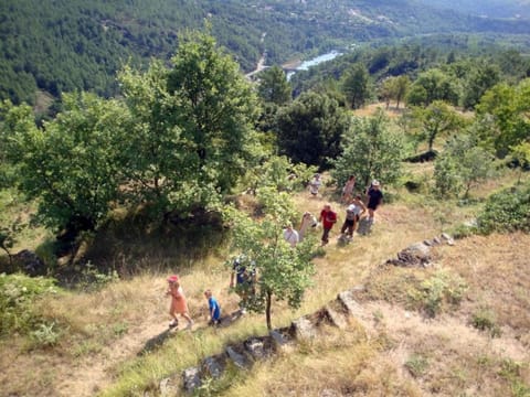 Surroundings [summer] (1-5 km)