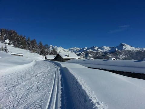 Snow and ski sports