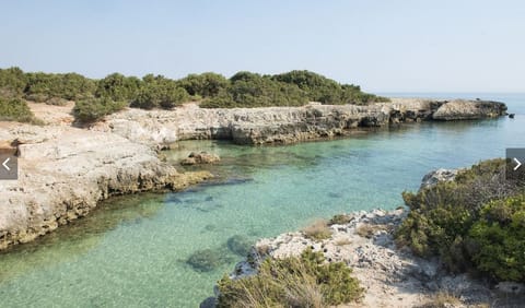 Beach nearby, sun loungers