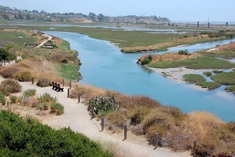 San Elijo Lagoon across the street. Wonderful to walk. 
