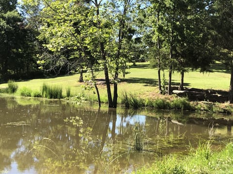 Second pond cabin at top of this hill look real close you’ll see it