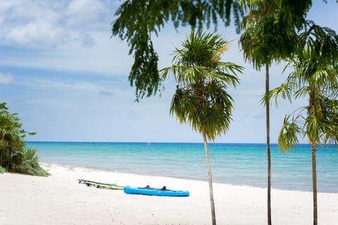 On the beach, sun loungers, beach towels