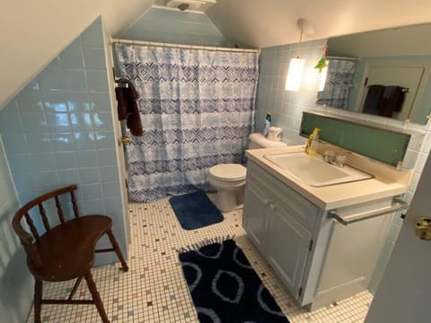 Combined shower/tub, hair dryer