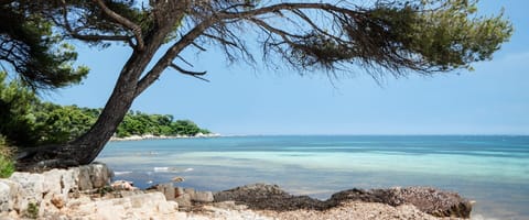 Beach nearby, sun loungers