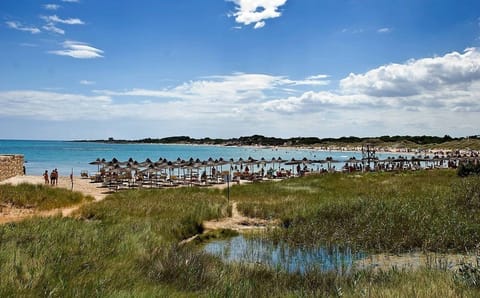 Beach nearby, sun loungers