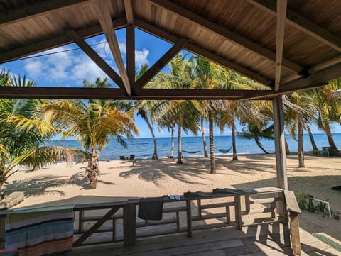 On the beach, sun loungers, beach towels