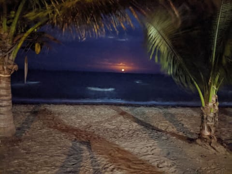 On the beach, sun loungers, beach towels