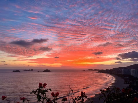 From our PH. It's a perfect blend of nature's beauty and serene relaxation.