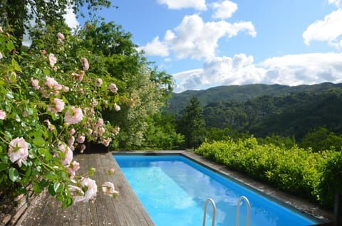 View pool when the roses are blooming