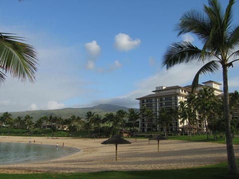 On the beach, sun loungers, beach towels