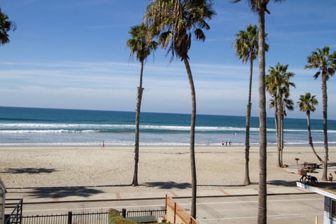 Views, Views, Views!