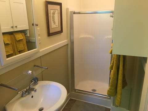 Bathroom | Hair dryer, towels, toilet paper