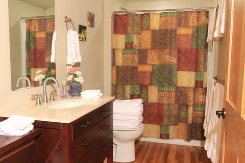 Combined shower/tub, hair dryer, towels