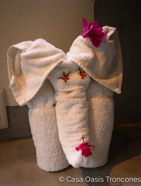 The little things — we'll take good care of you at Casa Oasis Troncones !