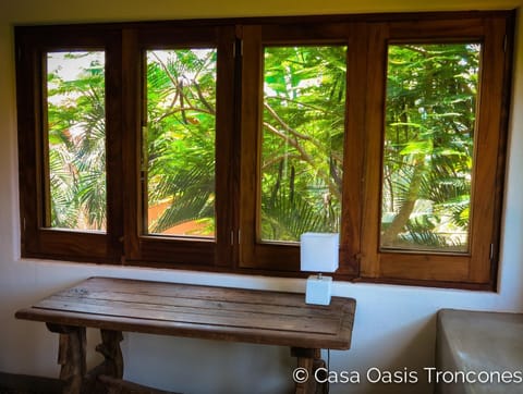 Why we call it the Treehouse — 360° treetop views. More windows than walls.